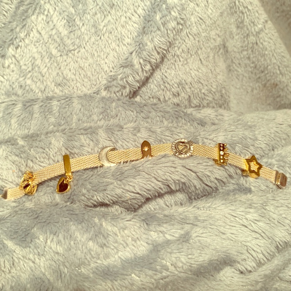 Authentic Pandora Reflexions Bracelet w/ 7 Charms
